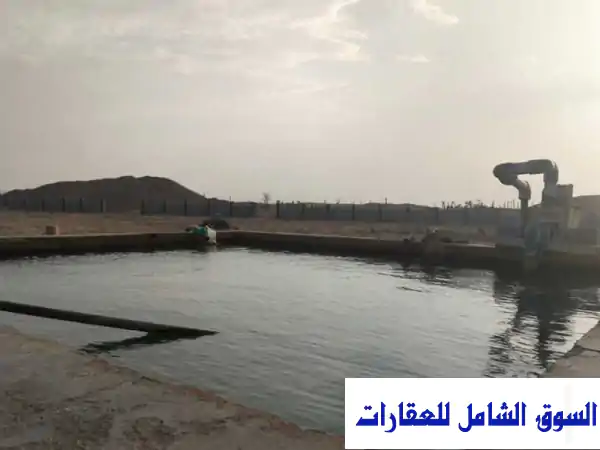 مزرعة خصبة للبيع في ولاية السنينة - 6 أفدنة -...