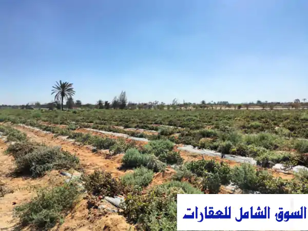 أرض 18.1 فدان استثمارية: الكيلو 83 طريق الصحراوي |...