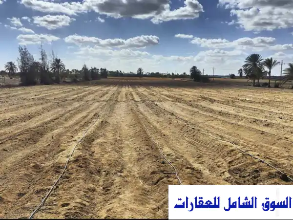 استثمر مستقبلك الآن! أرض 76020م² | الكيلو 83 طريق...