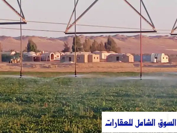 فرصة استثمارية ذهبية: إيجار أراضي زراعية...