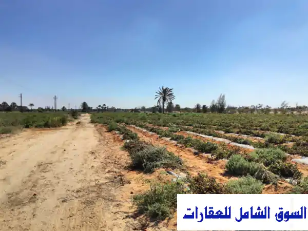 استثمر مستقبلك الآن! أرض 76020م² | الكيلو 83 طريق مصر اسكندرية الصحراوي | بجوار مزارع دينا - مباشر من المالك