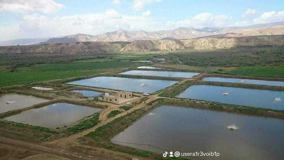 مزرعة سمك