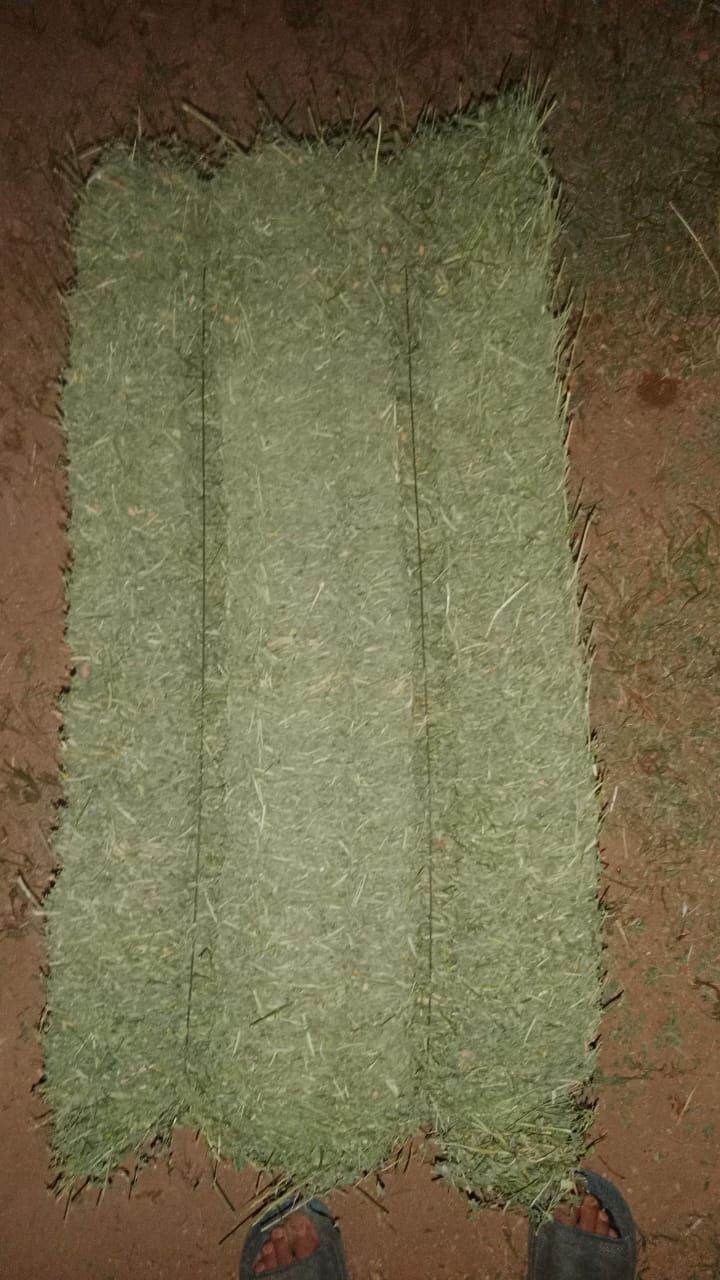 للبيع مزرعة اعلاف في السعودية