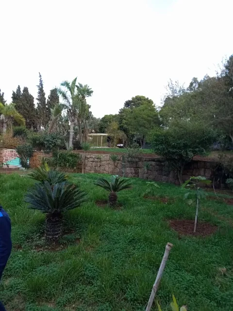 Nature