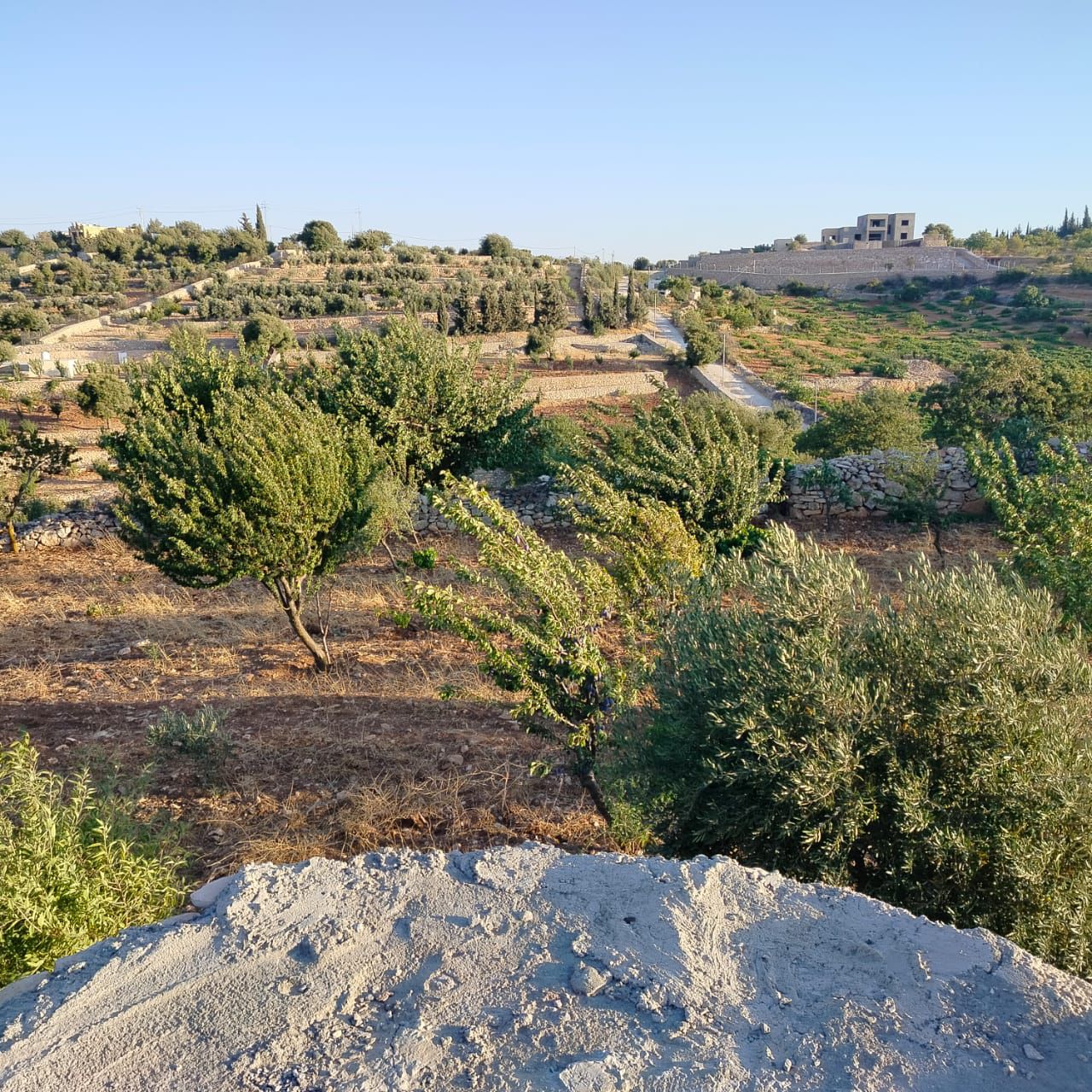 Nature