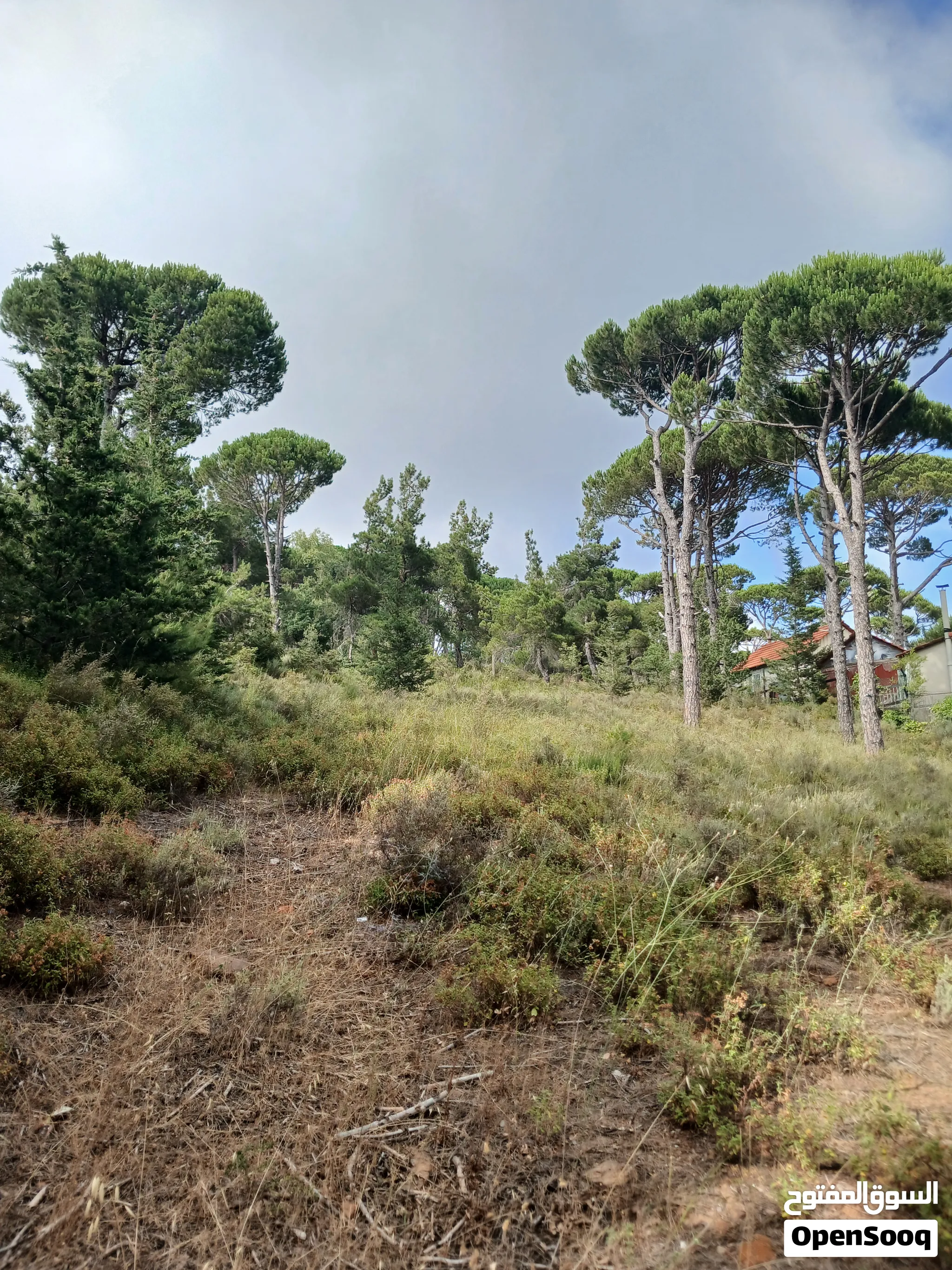 Land with panoramic view located in Ayroun,Mount Lebanon