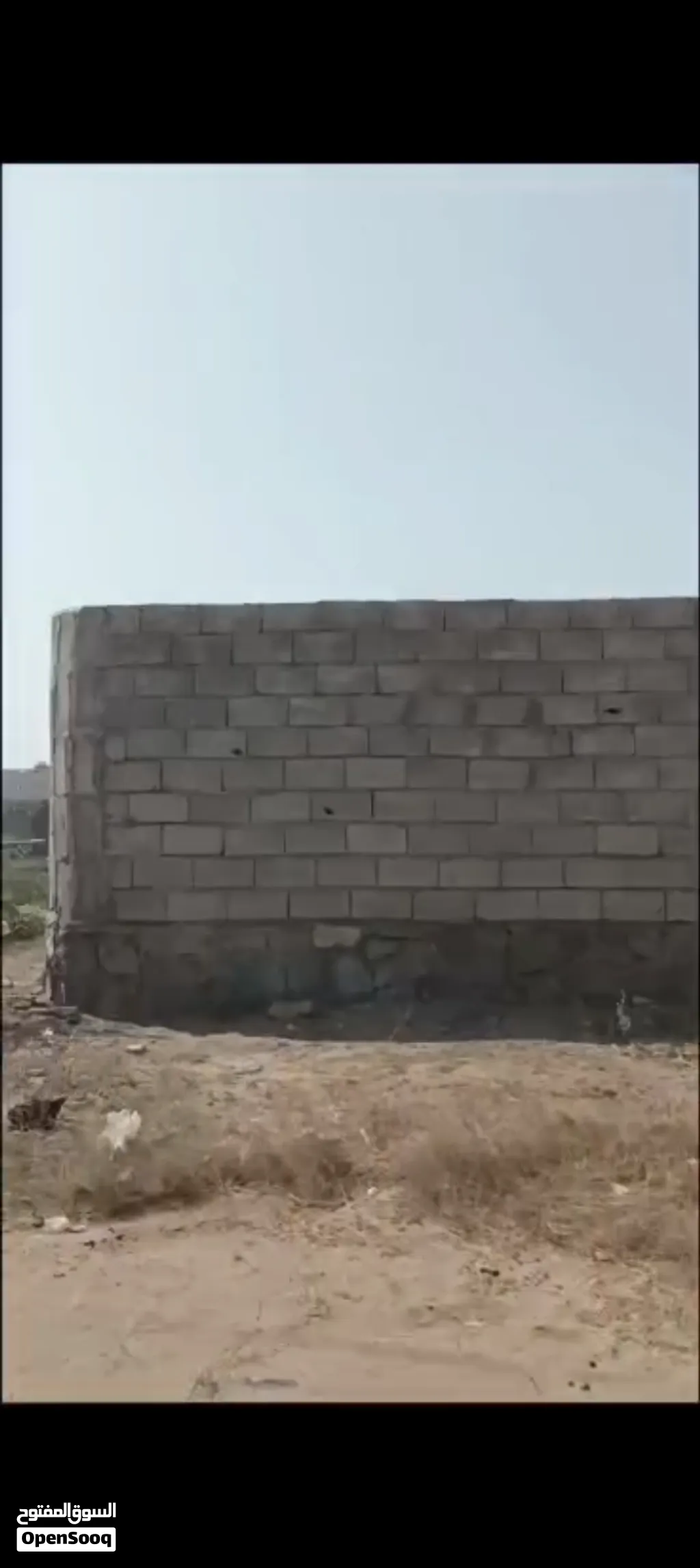 اكبرعرطه في قلب الحديده ارض حرمعمد500مترشارعين
