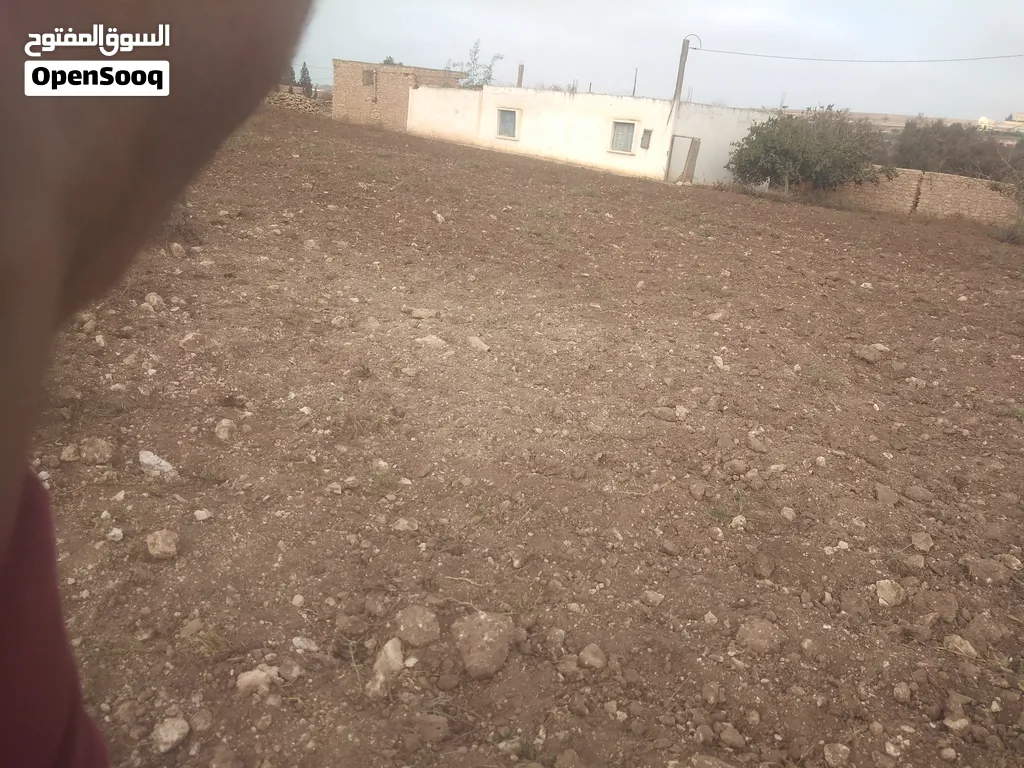 الأرض الملكية للبيع فيها دار الملكية للبيع في...