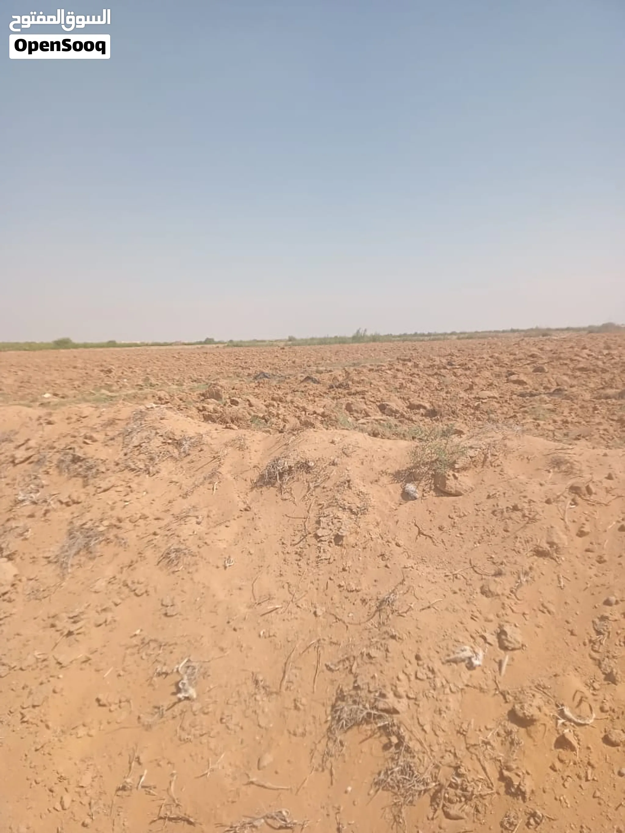 13 فدان جمعيه الإسماعيلية مدخل سرابيوم جاهزه للزراعه مسجله شهر عقاري