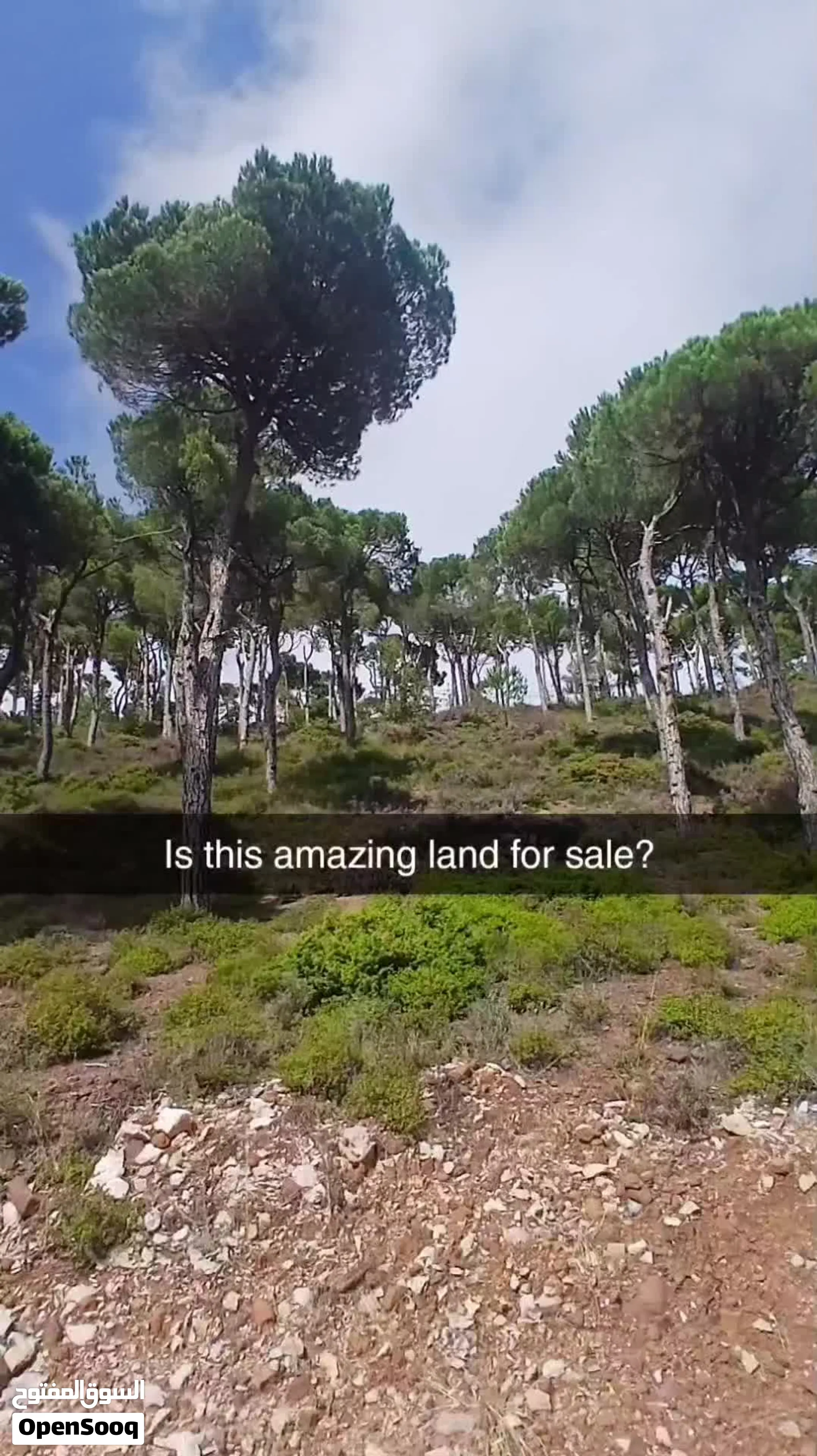 Land located in Douar, Mount Lebanon surrounded by a amazing nature.