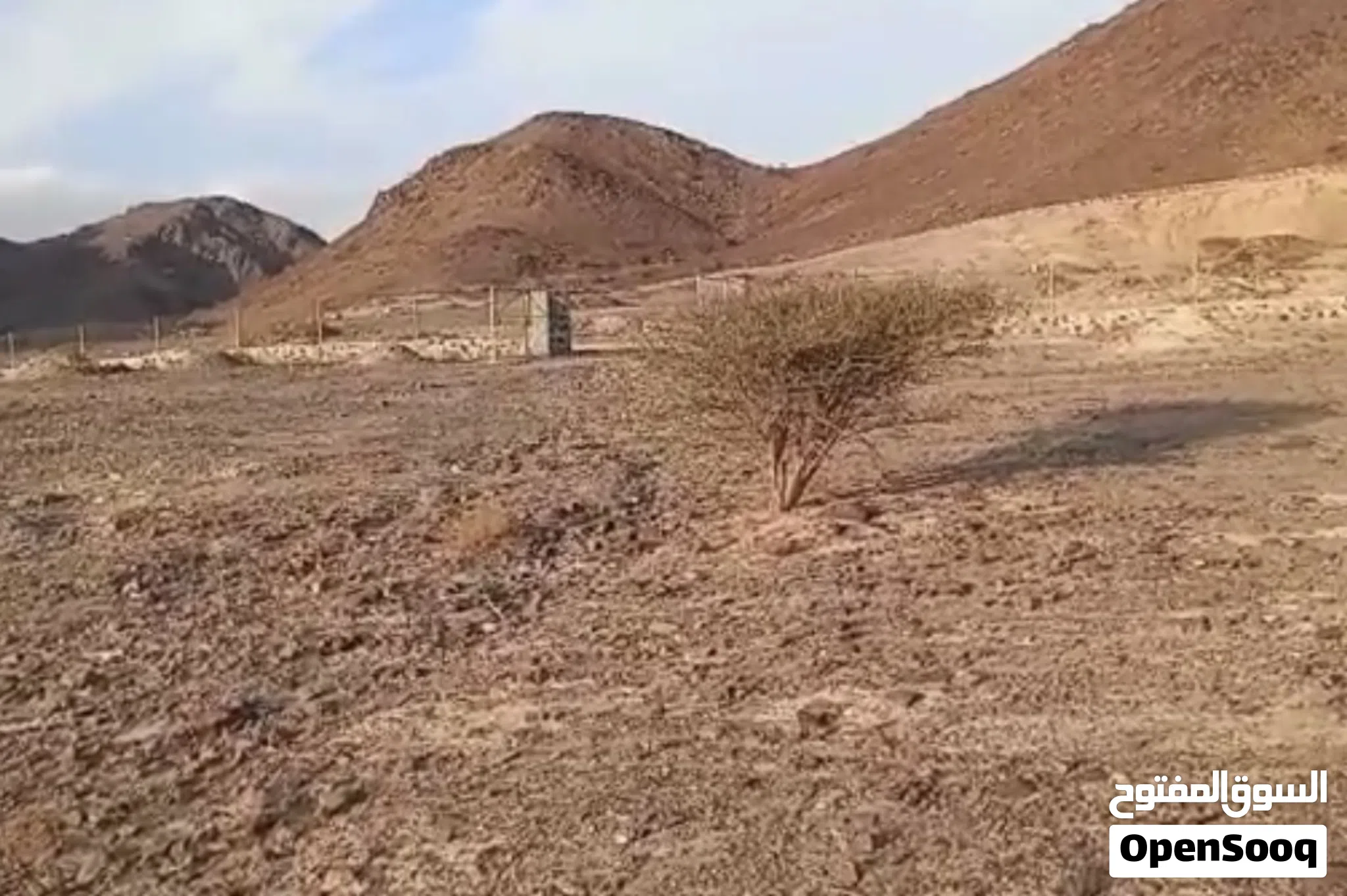 فقط تملك (جواز راس الخيمة ) للبيع مزرعتين في راس الخيمة موقع متميز بين الجبال 242،000قدم )