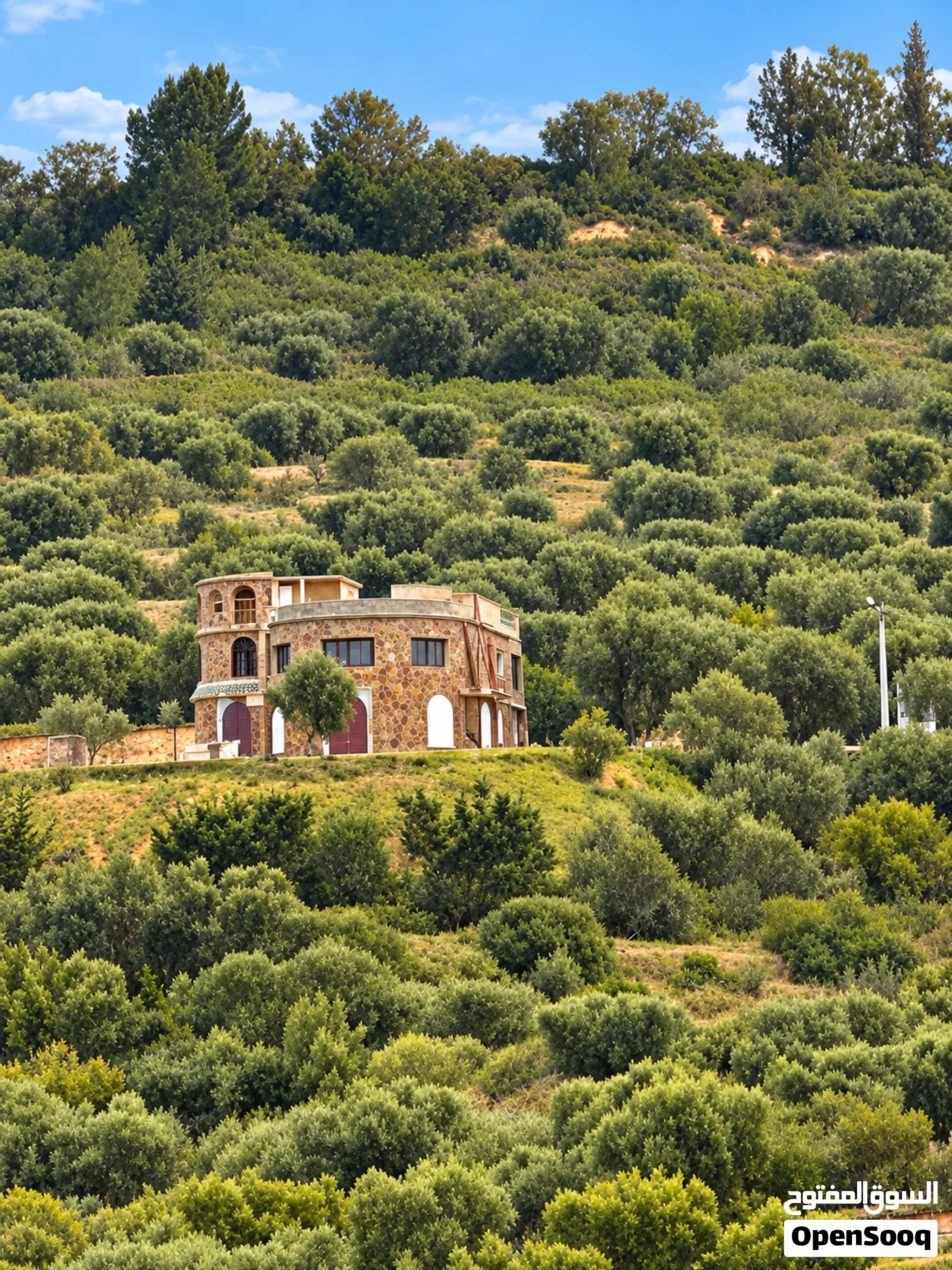 Ferme 9,5 Ha avec Villa – Projet Touristique Dayet Roumi