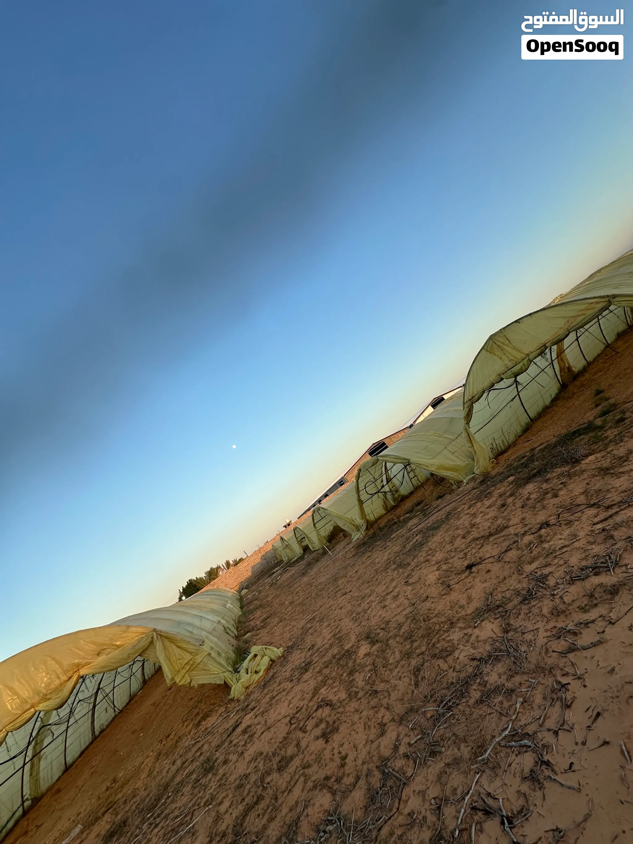 صوبات لحام محليات 50*9