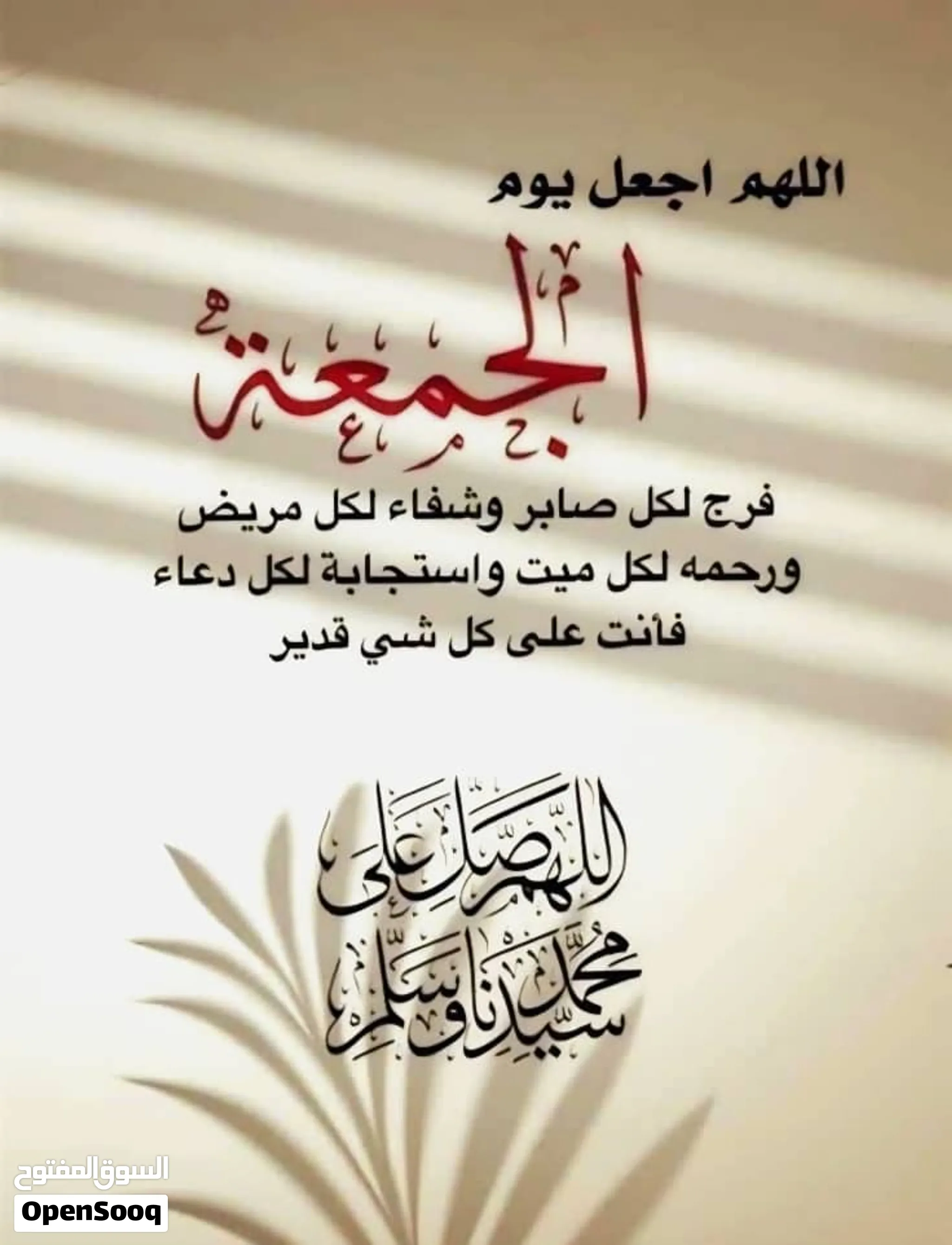 قطعة أرض للبيع شارع المركبات
