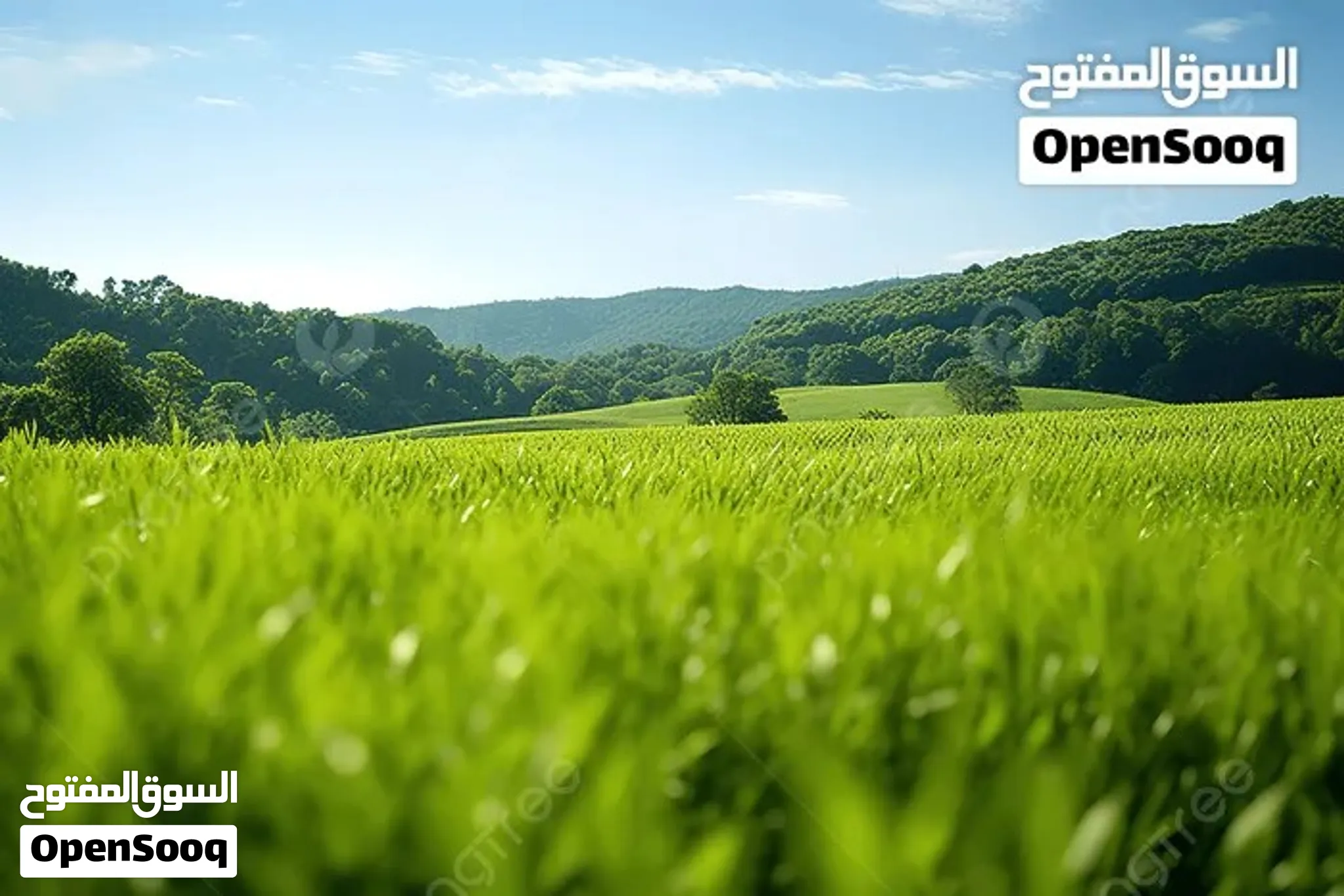 قطعه أرض في شحات حي السلام 760