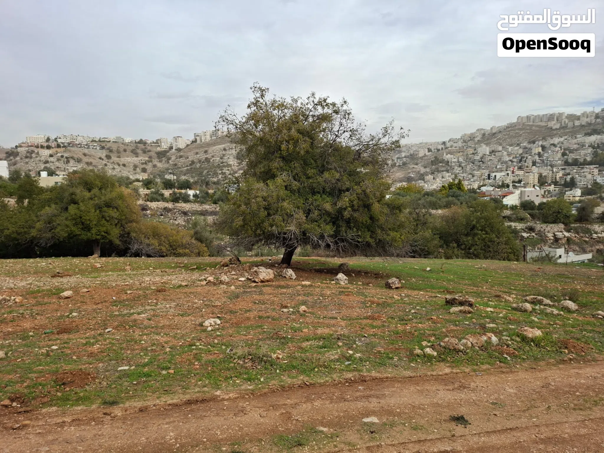 قطعة أرض في منطقة النعير من المالك مباشرة