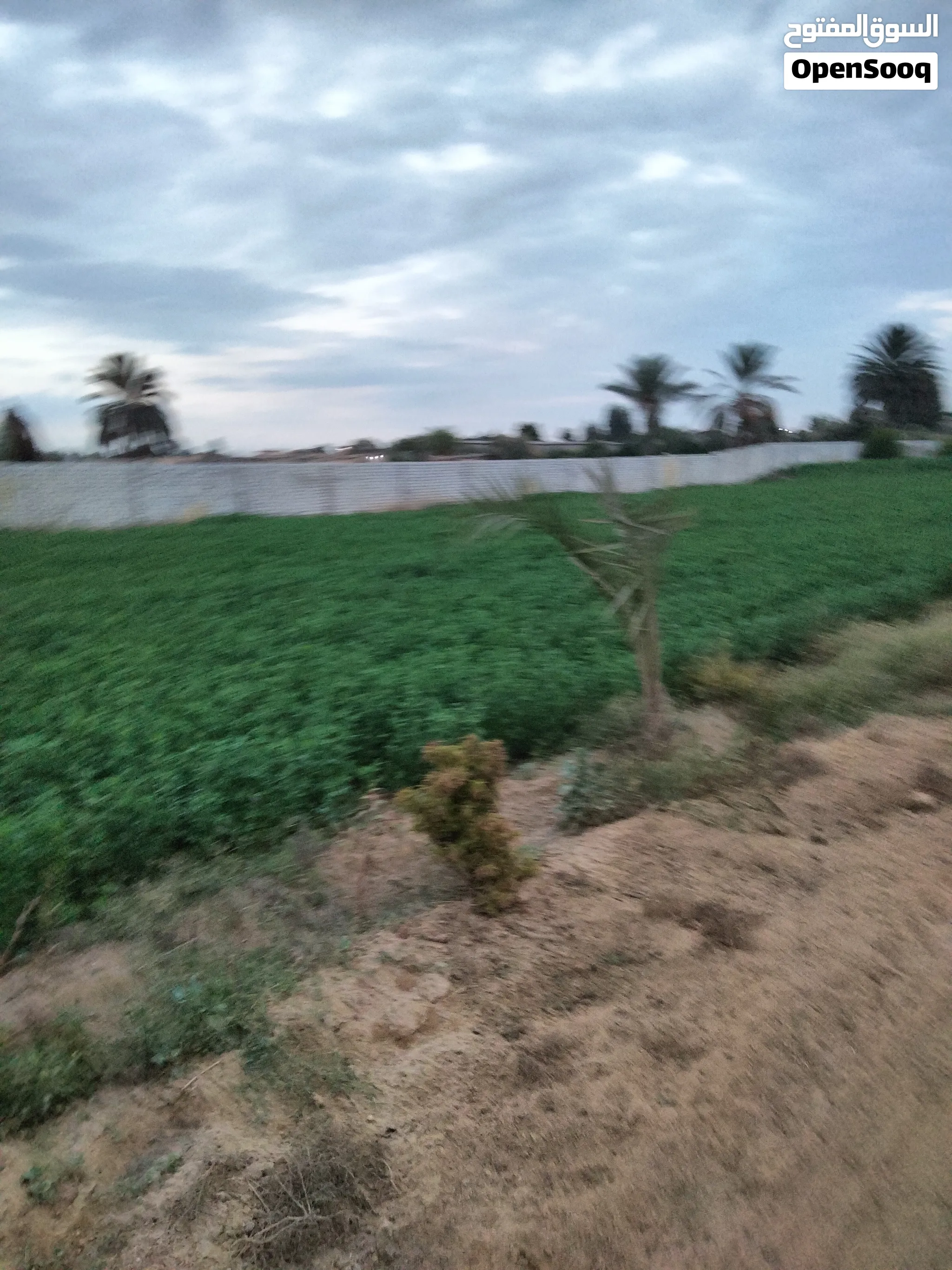 قطعة أرض زراعية للبيع أربعة فدان وربع
