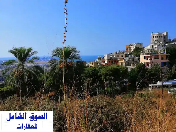 فرصة استثمارية ذهبية: أرض 1073م بالجديدة | إطلالة بانورامية على بيروت والبحر