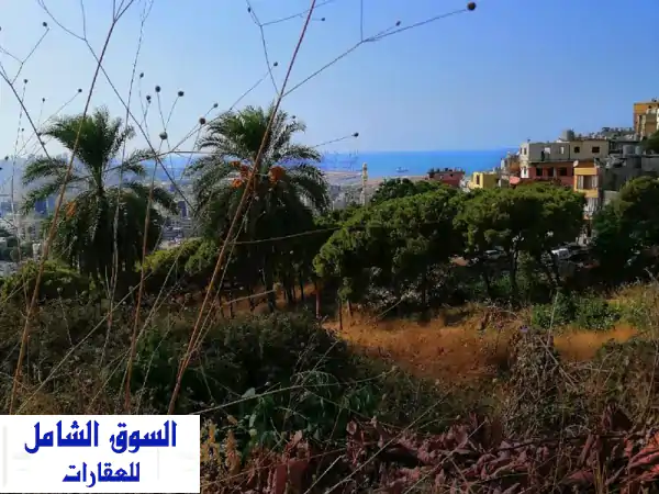 فرصة استثمارية ذهبية: أرض 1073م بالجديدة |...