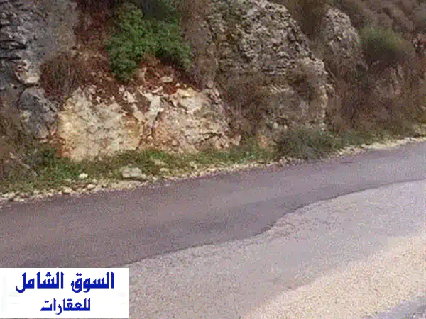 أرض للبيع في راشا، البترون: واجهة طريق مميزة، إطلالة خلابة وفرصة استثمارية لا تفوت!