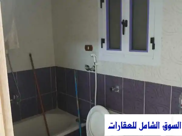 شقة أحلامك في ميامي الإسكندرية: إيجار شقة مفروشة فاخرة ببرج فريدة - غرفتين وريسبشن بإطلالة ساحرة