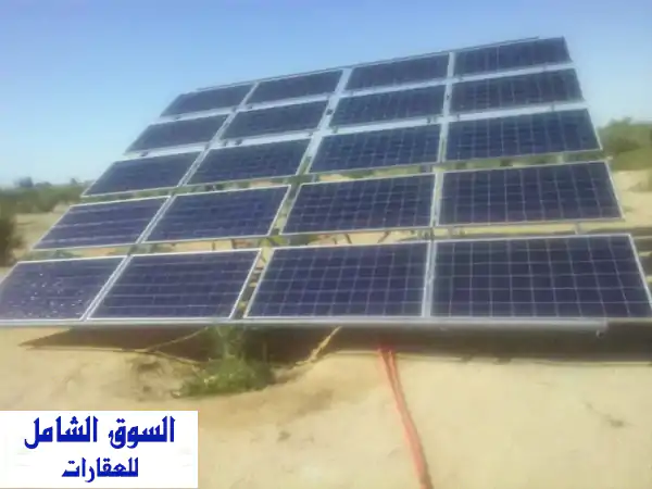 للبيع 100 فدان جوافه وزيتون وتفاح على الدولي تبع وادي النطرون البحيرة بئر للمياه نسبة الملوحة 500 ...