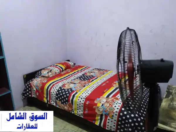 غرفة مفروشة للإيجار بالشوربجي: خطوات من جامعة...