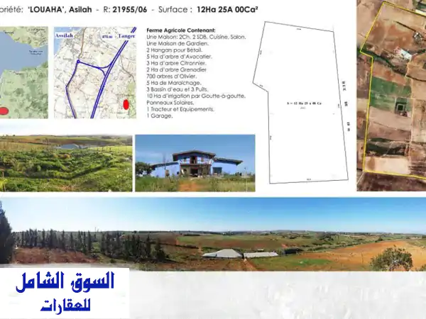 امتلك حلمك: أرض فلاحية استثمارية 12 هكتار للبيع...