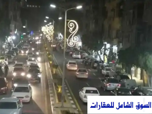 فرصة نادرة بالمنيل الرئيسي: شقة قانون قديم 160م -...