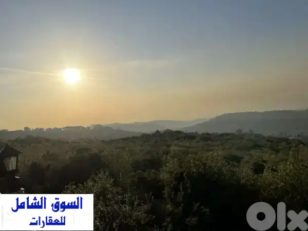 فرصة استثمارية ذهبية: أرض للبيع في عاليه عيتات |...