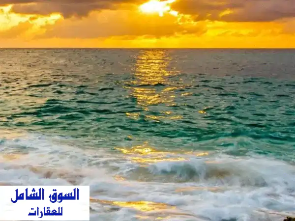 للإيجار: شقة أرضي في الفيحاء بتشطيب ديلوكس. تتكون...