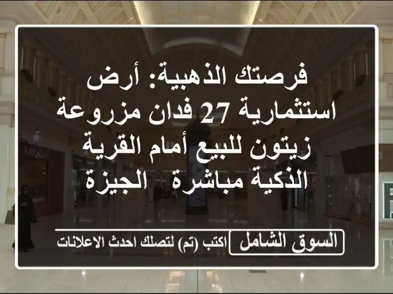 فرصتك الذهبية: أرض استثمارية 27 فدان مزروعة زيتون...