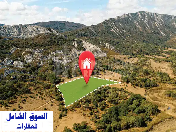 مزرعة للبيع بمساحة ضخمة 250,130 قدم مربع |...