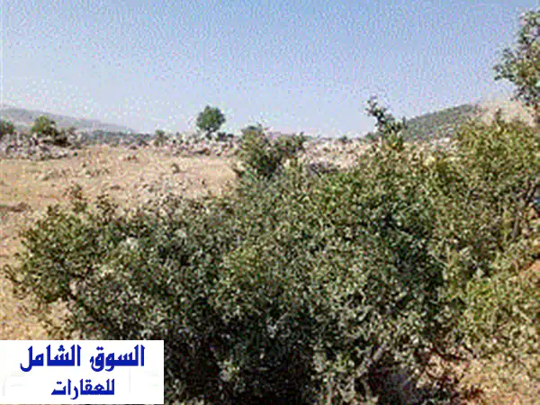 فرصة العمر! أرض للبيع في راشيا الوادي 1000م²:...