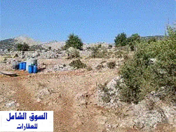 فرصة العمر! أرض للبيع في راشيا الوادي 1000م²: إطلالة ساحرة، للبناء أو مصيف، بسعر 1000$ فقط!