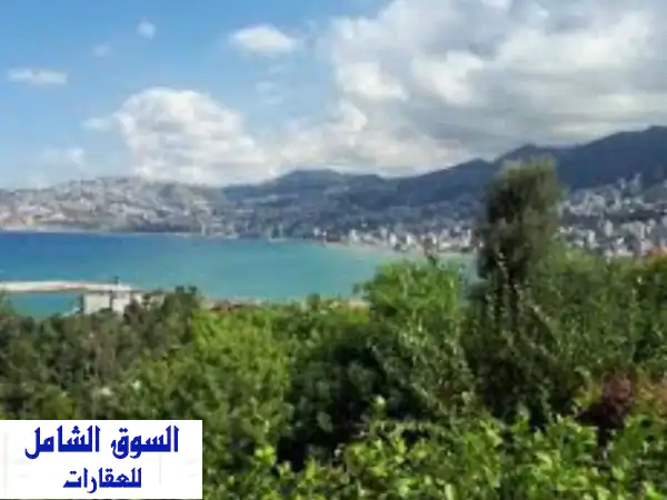 للبيع أرض عشرة ألاف متر مربع في البترون تبعد 100 متر...