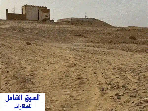 فرصة استثمارية ذهبية: أرض زراعية مستصلحة 5 أفدنة بالظهير الصحراوي | حيازة رسمية (مالك أول)