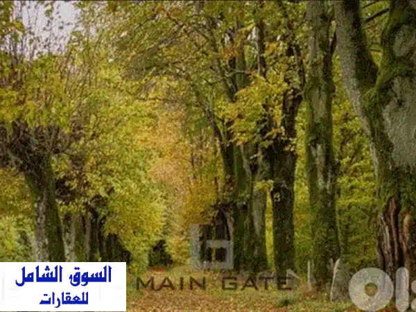 أرض الأحلام للبيع في بعبدات: 1000م، إطلالة بانورامية، منطقة فيلات راقية (20/40)