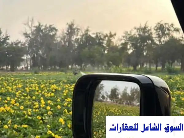 للبيع مزرعتين الشمال روضة الفرس في الرويس مدينة