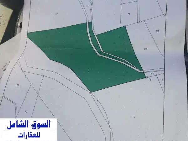 فرصة العمر الاستثمارية بالأغوار الشمالية! أرض زراعية 57 دونم على الطريق الدولي الحيوي