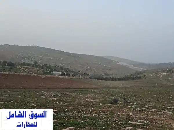 فرصة استثمارية ذهبية: أرض للبيع 4.5 دنم في جرش قفقفا - قوشان مستقل، مزرعة أو بيت ريفي (من المالك مباشرة)