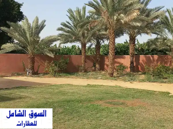 فرصة استثمارية وسكنية لا مثيل لها: شاليه وفيلا...