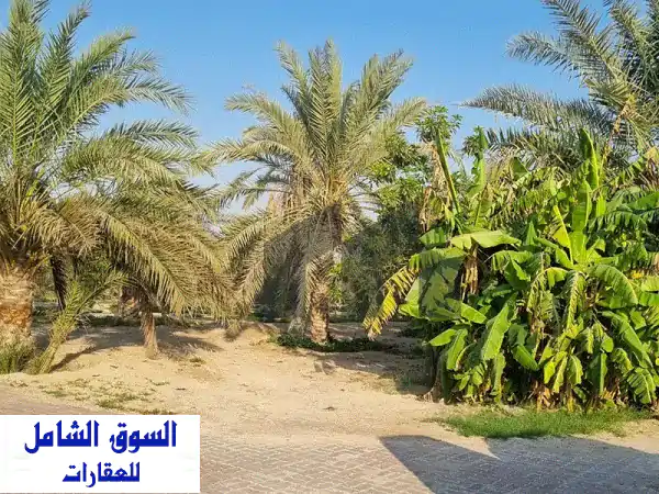 فرصة استثمارية ذهبية: مزرعة فاخرة للبيع في...