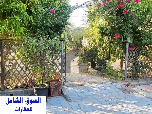 فرصة استثمارية ذهبية: مزرعة فاخرة للبيع في الرحبة، أبوظبي - 300,000 قدم مربع | نخيل وسكن عمال وموقع استثنائي