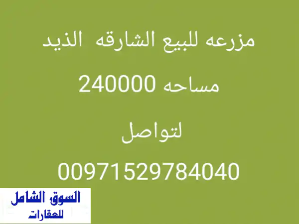 فرصة استثمارية نادرة! مزرعة للبيع في الذيد،...