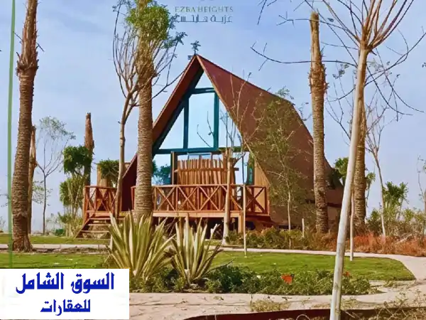 عزبة النرجس 5000م للبيع: رفاهية أسوانية، إنتاجية فورية، في قلب عزبة كايرو