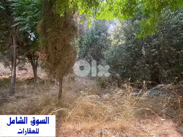 أرض للبيع بشامون المدارس: موقع استثنائي،...