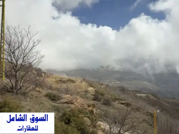 عقار في صنين 900 متر مع رخصة عمار 3 طوابق ورووف السعر...