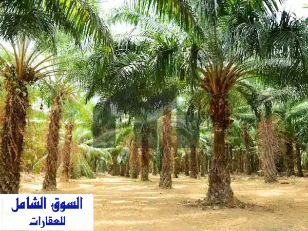 فرصة ذهبية: مزرعة أحلام للبيع في الوقن 600x600، 400...