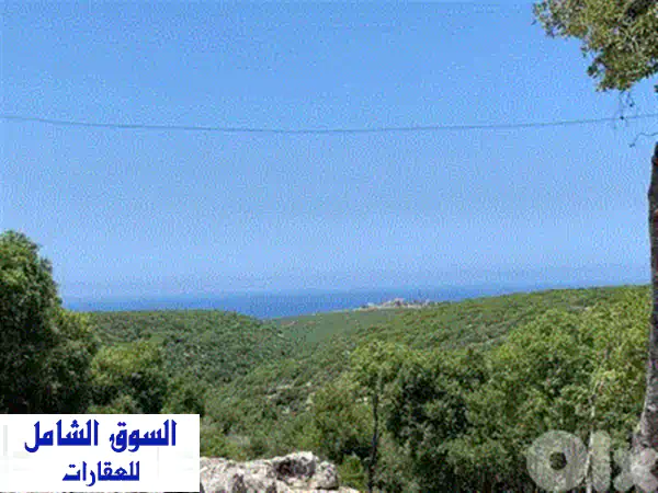 فرصة ذهبية: أرض صناعية Grade A للإيجار على أوتوستراد شكا البترون | 1800 م² جاهزة بموافقات المجلس الأعلى!